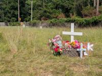 17-year-old charged with vehicular homicide after Camden County crash that killed 16-year-old girl