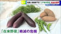 Edo-Tokyo Vegetables Face Extinction