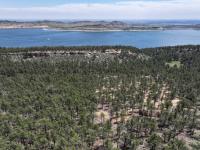 Collaborative forest health project completed near Carter Lake