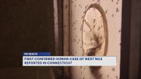 First human case of West Nile virus reported in Connecticut this year