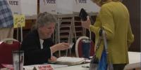 Voter ID ballot measure faces Michigan Supreme Court test
