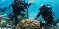 Study Suggests Climate Crisis Is Supercharging 'Godzilla' El Niños