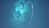 First Okeanos dive of the 2026 American Samoa ROV + Mapping Expedition