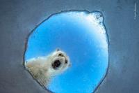 Sneak peek: Wildlife Photographer of the Year 2026 Awards