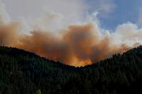 Fire Burns for 10 Days in Konavle Hills