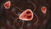Spike in UK cases of parasite tummy bug that can last MONTHS as parents given summer holiday warning