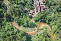 Community programs linked to lower forest loss in Indonesia’s Borneo during COVID-19