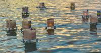 12th Annual Guam Nikkei Association Lantern Floating Ceremony on Sept. 19