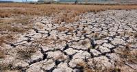 Carbon market initiative to open door to private capital for climate action