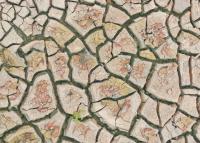 Europe's rivers are warning us with our ancestor's handwriting