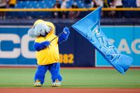 Tampa City Council Votes In Favor Of Rays’ Stadium Deal, County Vote On Friday