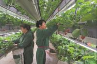 Innovation reshapes many of local traditional industries