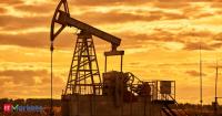 Oil on track for weekly loss even as Iran tensions simmer