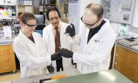 Brain Research Leads to Publications on THC Exposure, Alzheimer's Drugs