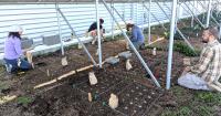 Colorado's hot, dry climate could be ideal for growing expensive spices