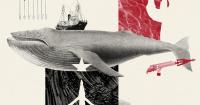 Iceland’s last whaler faces a threat he can’t harpoon: The EU