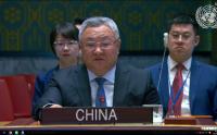 China at UN: Resolution of Palestine question is long overdue