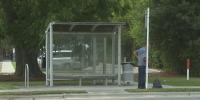 Wave transit fast-tracks new benches after removal of activist-built seating