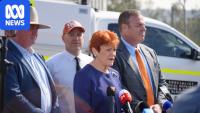One Nation's state leader wants NSW to be more like Texas and Florida