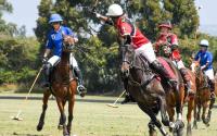 Jamie Murray reveals his agenda for Kenyan polo