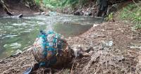 Rivers of pain in Nairobi and Johannesburg: how bad are they, and what’s (really) being done?