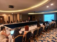 Hyundai Steel Briefs Turkish Clients on EU Carbon Border Rules