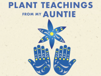 Snuneymuxw Elder C’tasi:a shares traditional plant knowledge in new book