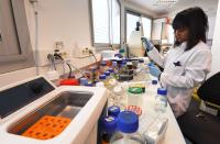 NIH Backs Two USC Studies Asking Whether Forever Chemicals Contribute to Liver and Endometrial Cancer Risk