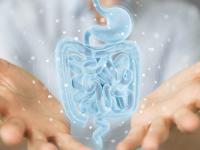 UK MHRA sets position on regulating microbiome-based products
