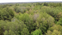 Consumers Energy restores 6,700 acres for public use across Michigan