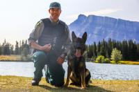 Parks Canada ends 55-year search and rescue dog program in Banff National Park
