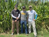 U of I-led research will focus on using AI to improve crop durability