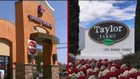 Chicago librarian files Illinois’ first Taylor Farms lawsuit over cyclospora illness