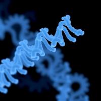 flexiAsCas12a and Other Variants Expand Cas12a Nuclease Applications in Prime Editing
