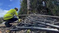 What you need to know about Hurricane Lala recovery: Hawaiian Electric reports only about 600 Big Island customers remain without power