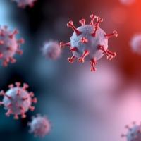 How Pharmacokinetic and Pharmacodynamic Variability Shape Responses to Combination Therapy