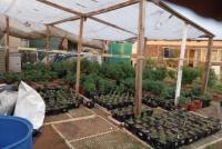SA's drug problem: Why international cartels are moving in