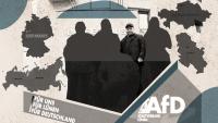 German AfD Figure Behind Alleged Serbian Node in Russian Cyber Meddling