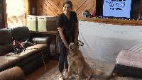 Local non-profit helps 'unadoptable' dogs find forever homes