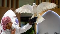 Abu Dhabi International Hunting and Equestrian Exhibition 2026 opens