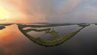In Brazil, even a remote Amazon park has microplastics in 8 of 10 fish