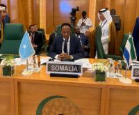 Somalia reaffirms support for Palestinians at OIC emergency meeting
