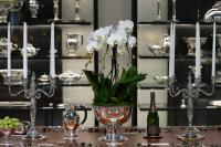 The Art of Antiquing
