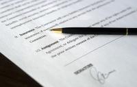 New Business License: 9.11.26