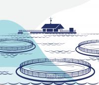 Aquaculture Drives Global Fisheries Production to Record High