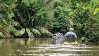 The Iconic Animal Tons Of Tourists Complain About Not Getting To See On A Costa Rica Vacation