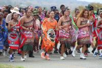 Princess Sakhizwe leads thousands to Mpisi Farm reed cutting