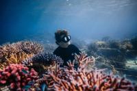 Titouan Bernicot doesn't grow tomatoes, he grows the ‘rainforest of the sea’, one coral at a time