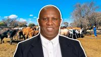 Land reform: Why SA must shift from hectares to productive impact