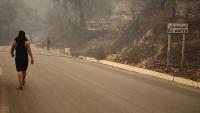 Algeria mourns wildfire victims as firefighters battle deadly blazes
